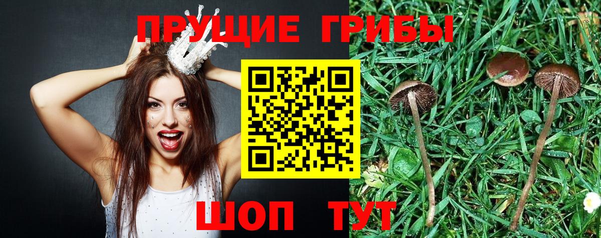 Галлюциногенные грибы ЛСД  Галлюциногенные грибы MAGIC MUSHROOMS  Вход с VPN  Йошкар-Ола 